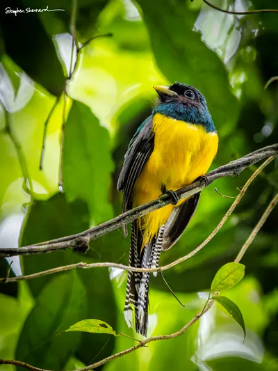 Costa Rica